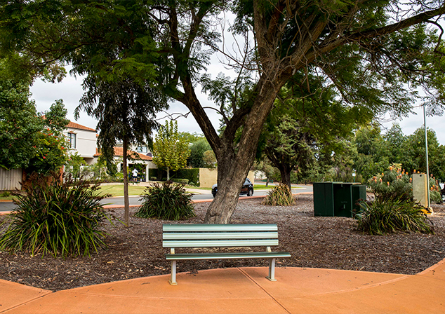 Photo of park bench on orange pavement. Trees in background.