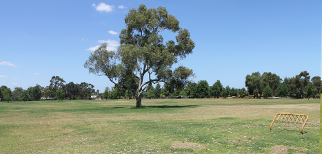 John-Creaney-Park.jpg