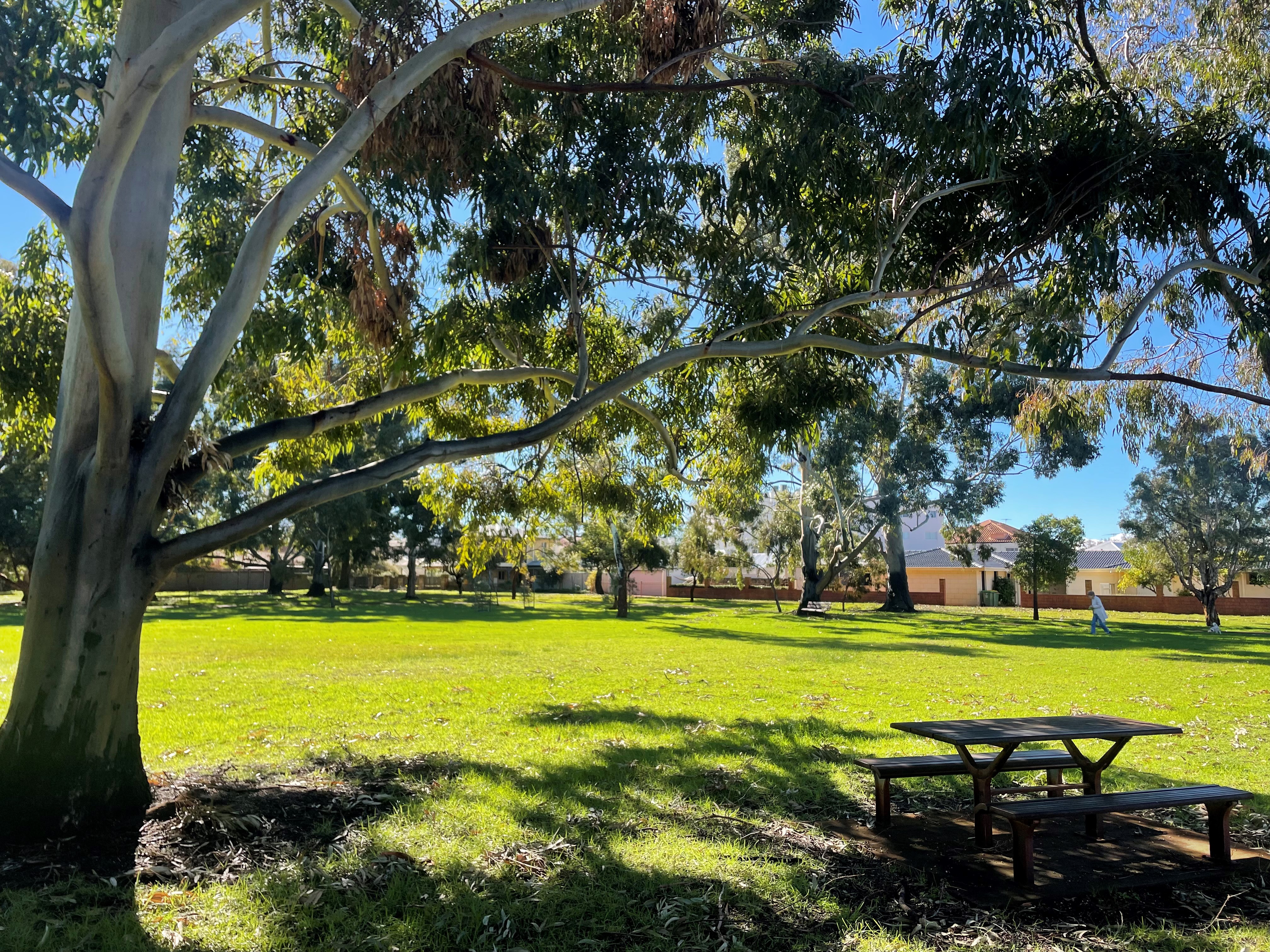 lush park