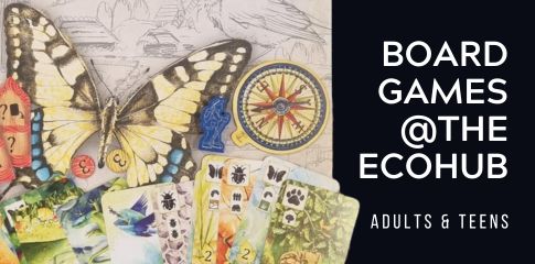 Board Games at The EcoHub Teaser