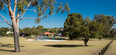 Ross-Park.jpg