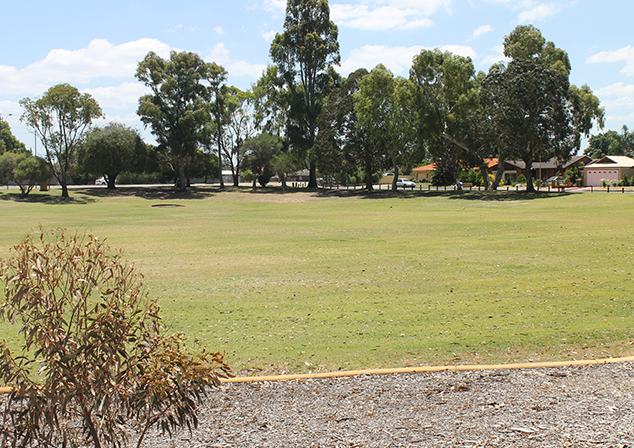 Photo of grass field with tall trees in background. Mulch pit held by a retaining wall in foreground with shrub growing out of it.