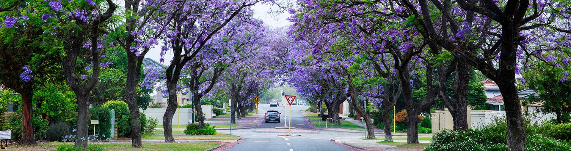 rates-jacaranda-street-applecross.jpg
