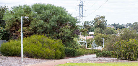 Owen-Fitzgerald-Reserve1.jpg