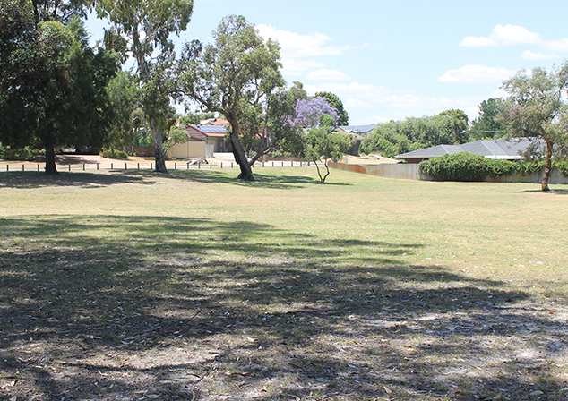 Grassed area with tall trees surrounding edge
