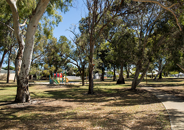 Grassed area with tall trees and children's playground 