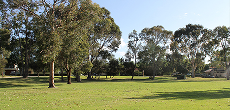 Warwick-Wild-Park.jpg