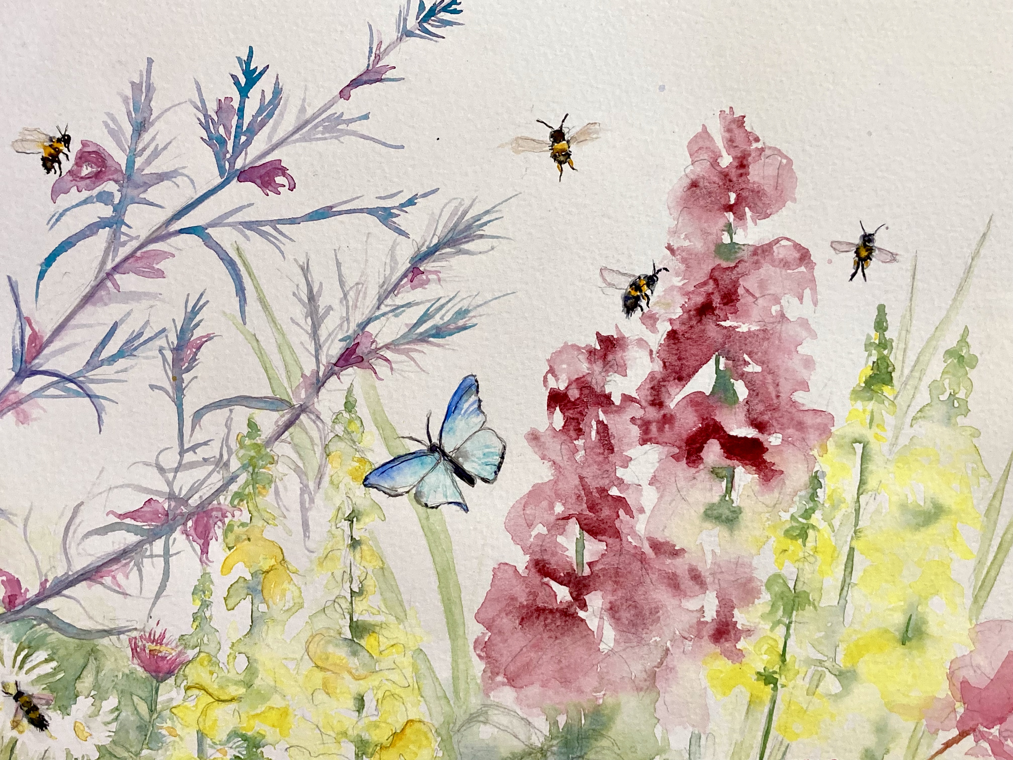 watercolour painting of flowers, butterflies and bees