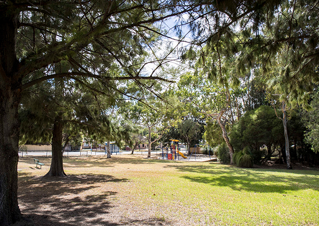 Children's playground surrounded by grass and tall trees