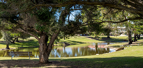 Harry-Buckley-Park.jpg