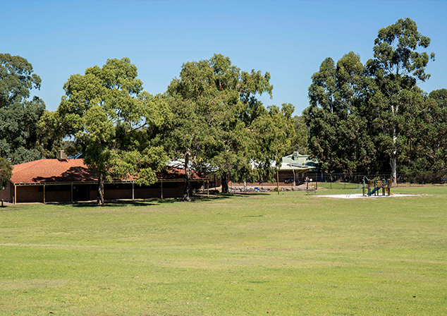 Grassed area with tall trees and building