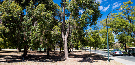 John-Fennessey-Park_1.jpg