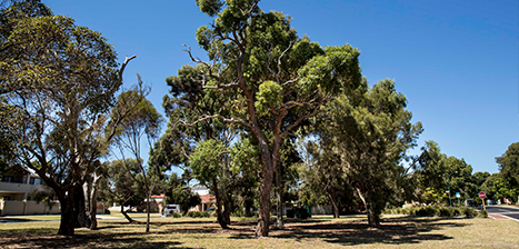 Jim-Mills-Park_1.jpg