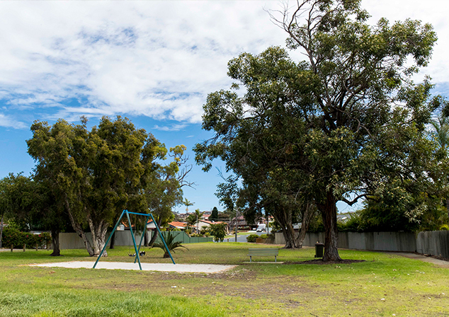Grassed area with tall tress, children's swing and park bench