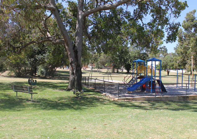 Wide photo of a tree next to playground equipment and a park bench