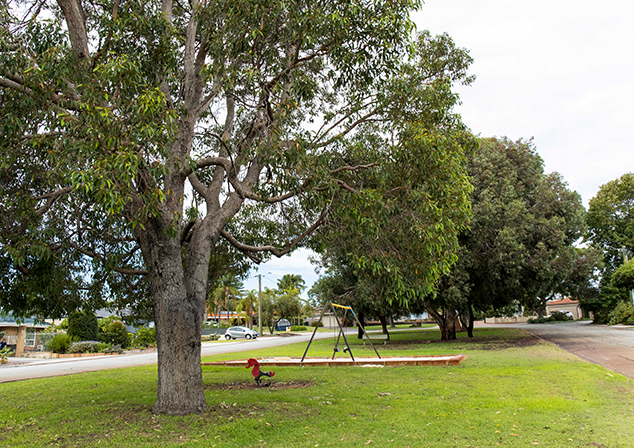 narrow grassed park area with tall trees and children's platground