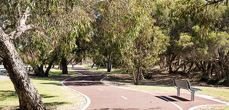 Troy-Park_1.jpg