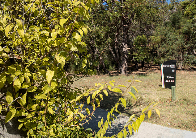 Bush land with footpath