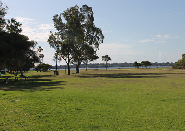 Grassed area with trees by the rivers edge