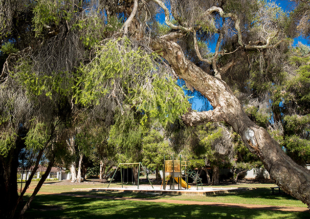 Children's Playground