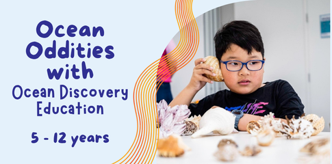 A young child with glasses holding a shell up to his ear, sitting at a table with lots of different shaped shells.