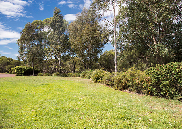 photo of bushland at bateman park