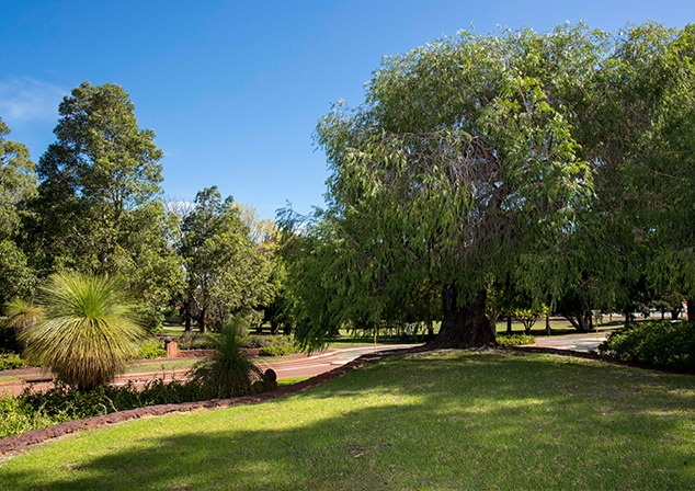Open grassed area with foot paths and tall trees