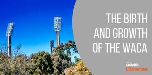 An image of the WACA's light poles towering over a blue sky and green bushes.