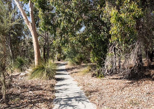 Bush land with footpath