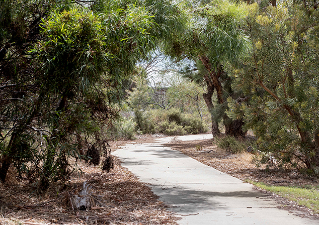 Bush land with footpath