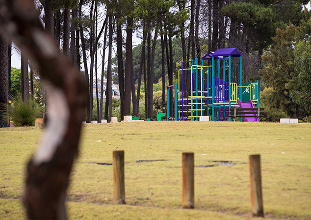 Photo of colourful playground in distance. Lawn with bollards installed on it. Tree in foreground.