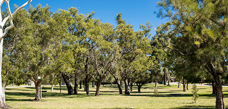 Layman-Park_1.jpg