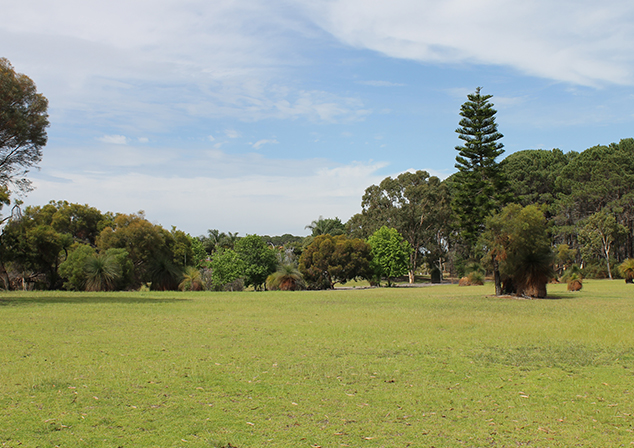 Photo of grass area with many trees in background, against bright cloudy sky.
