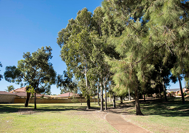Grassed area with big trees and footpath
