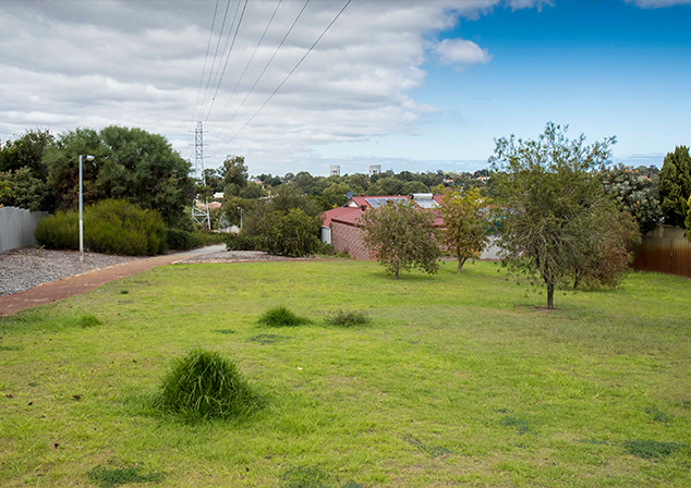 Photo of bright grass with trees and bushes.