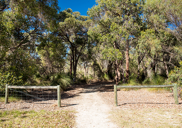 Bush land with natural footpath 