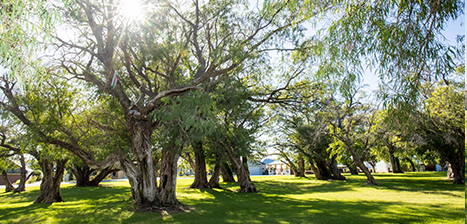Harry-Grose-Reserve.jpg