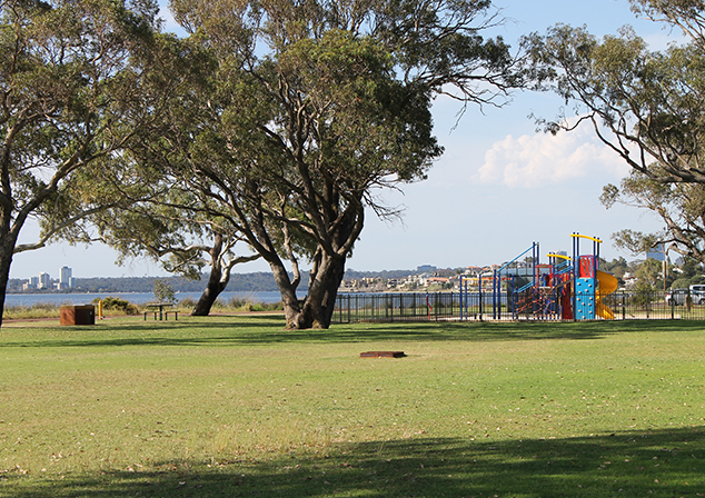 Photo of grass field with large trees and a playground in the background.