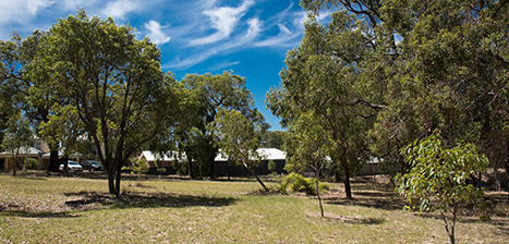 Red-Gum-Park_1.jpg
