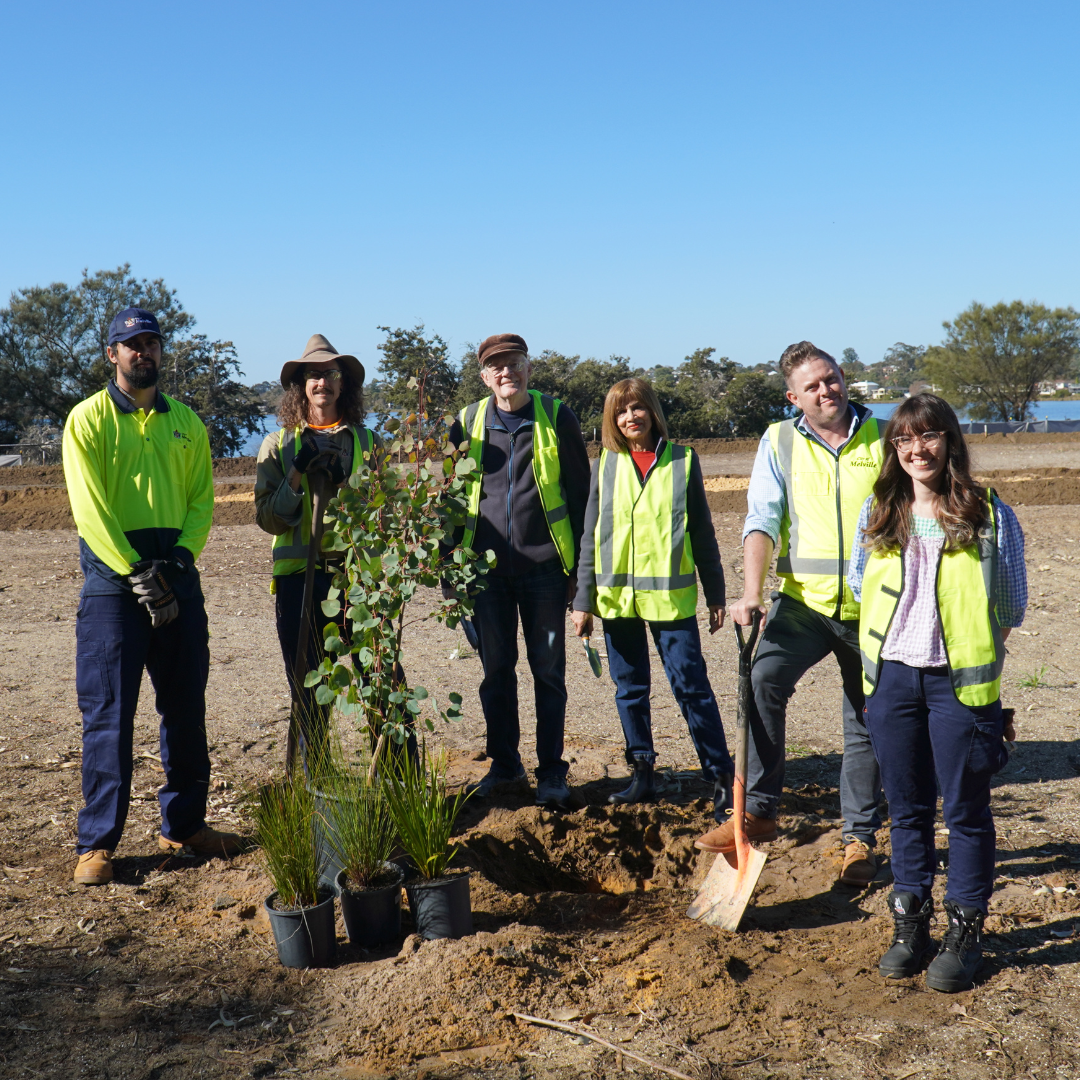 group of voulenteers planting trees