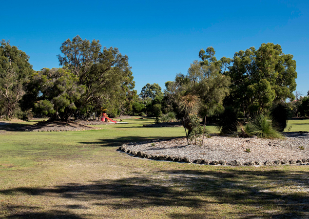 Photo of awn area with mulch section in middle. Trees throughout.