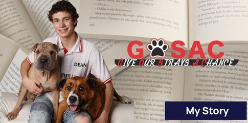 My Story: Dean Morris - Give Our Strays a Chance