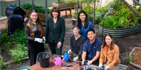 Branch out at this year’s WA Tree Festival’s tree-mendous line up