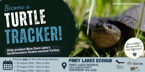 turtle tracker event poster