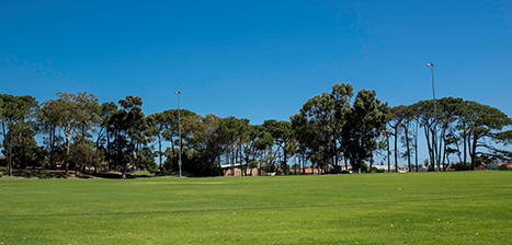 Melville-Reserve_1.jpg