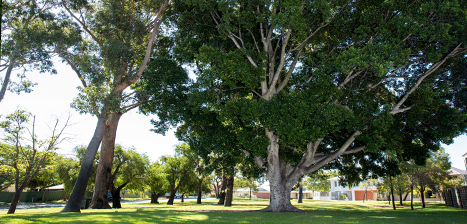 Noalimba-Park_1.jpg