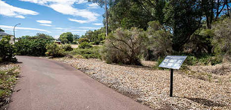 Bateman-Park_1.jpg