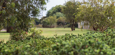 Richard-Henwood-Park.jpg