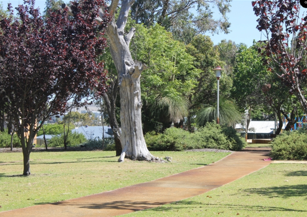 Image of footpath going through grass area. Area has skinny trees with red leaves, a thick pale tree stump that is bare, many trees with green leaves and some bushes.