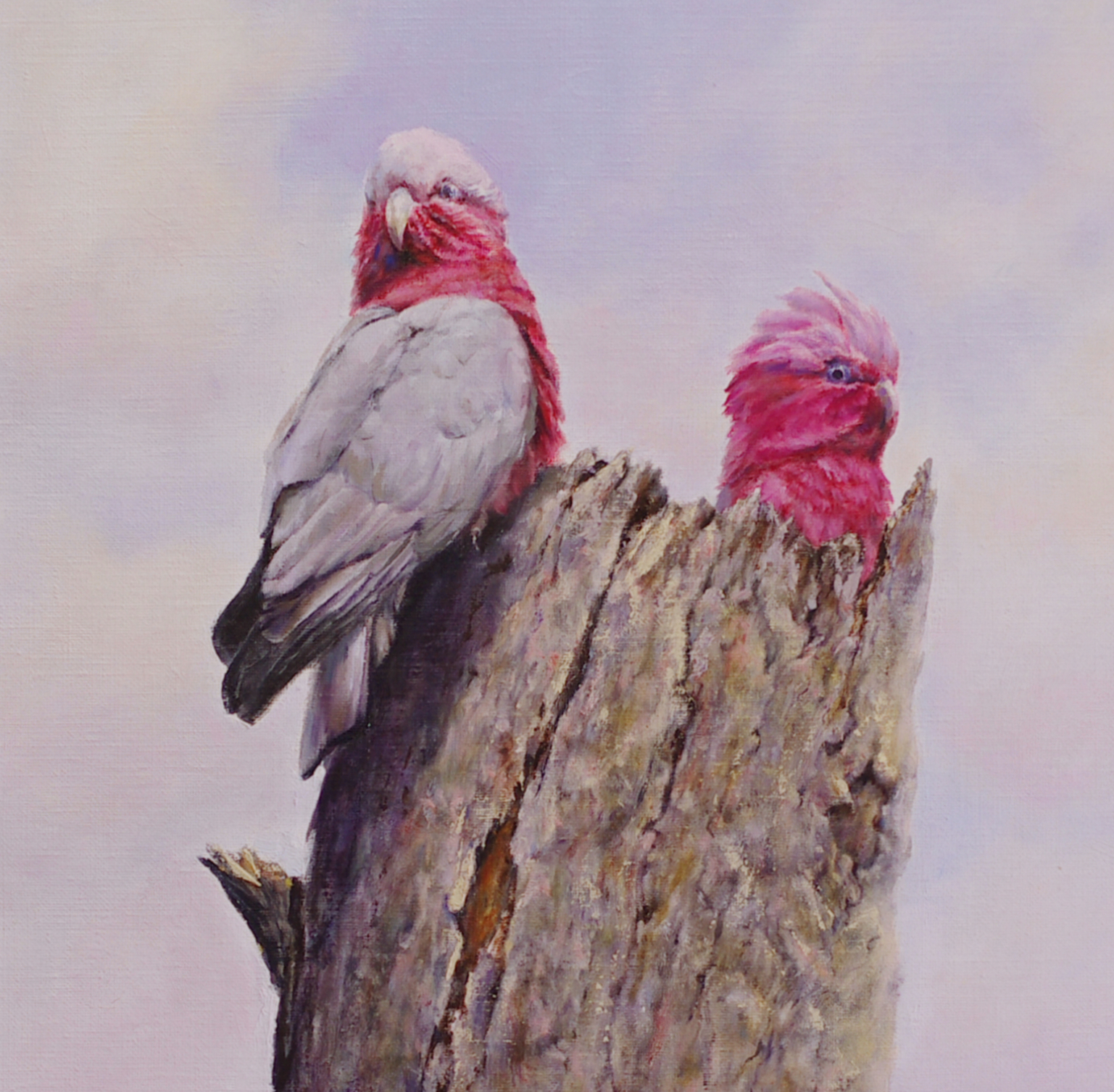 Two pink and grey galahs sitting on a wooden stump painted with oils